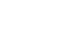 smart in planning logo 3