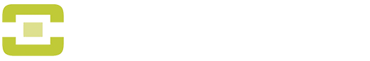 Packsize logo 1