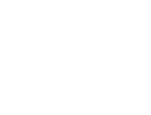 trevipay logo 4