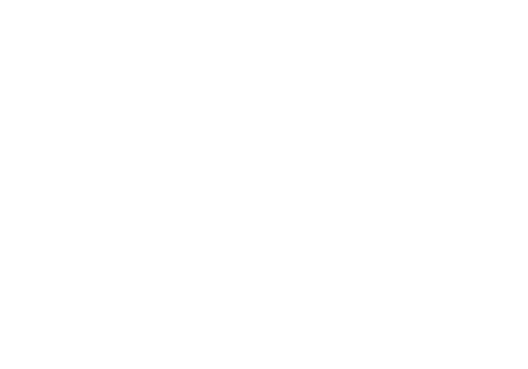 brauz logo 2