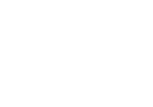adyen logo 2