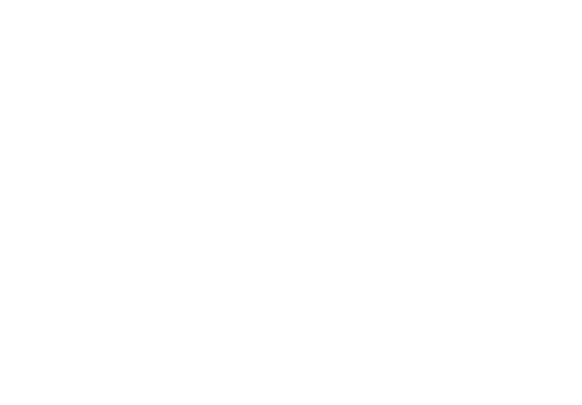 Analyticalways logo 4