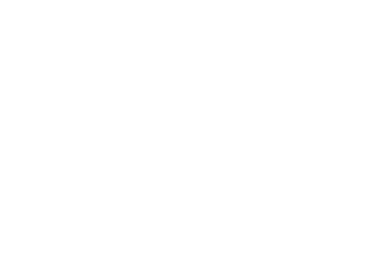 Twenty Twenty logo 2