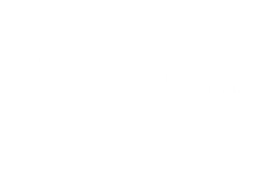 Falkonr logo 2