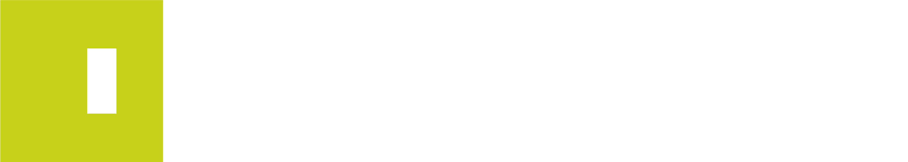 IR_PRIMARY_LOGO_NEGATIVE_SCREEN