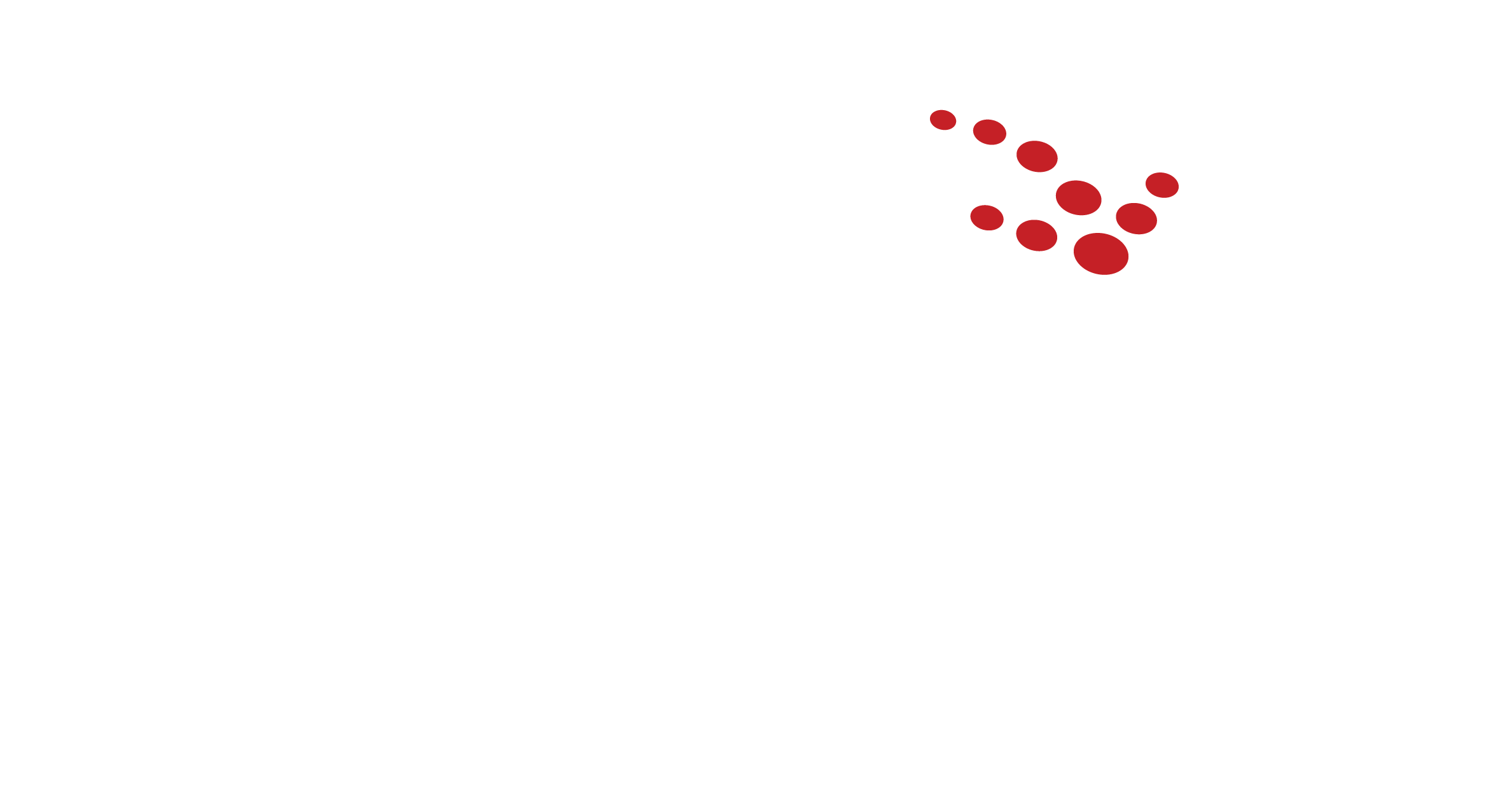 Acc_Corporate_Logo_white